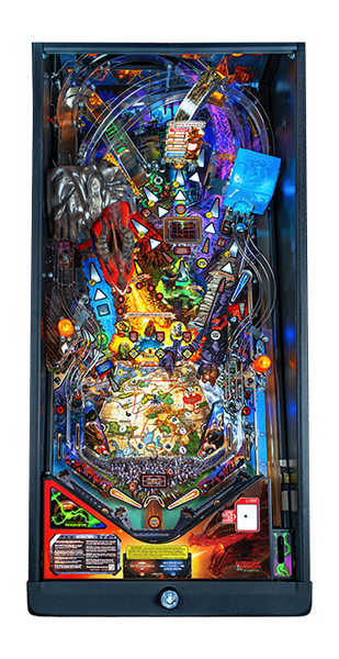 Dungeons & Dragons Premium Pinball Machine