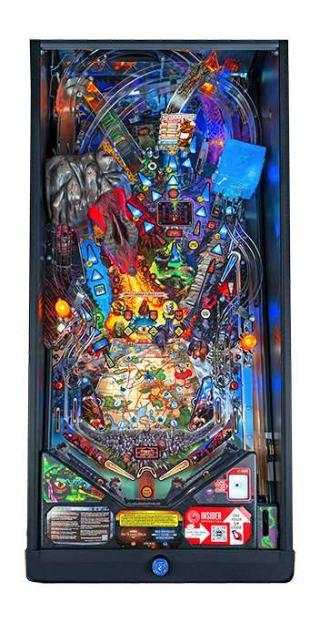 Dungeons & Dragons Pro Pinball Machine