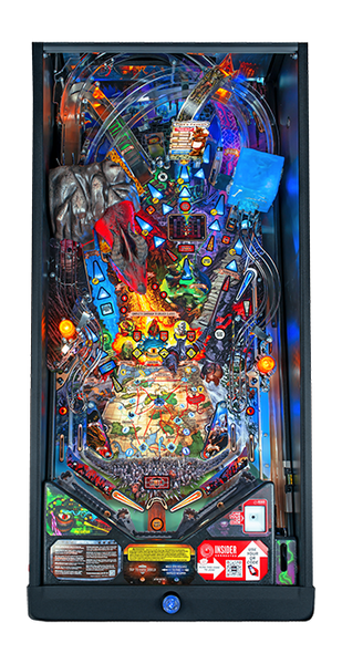 Dungeons & Dragons Pro Pinball Machine