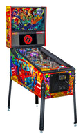 Foo Fighters Premium Pinball Machine